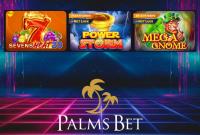 Geld verdient bei Palms Bet