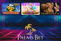 Many payment methods at Palms Bet