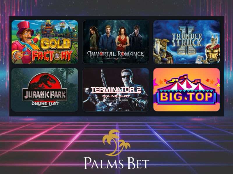 Pros and cons of Palms Bet: what you need to consider before start playing